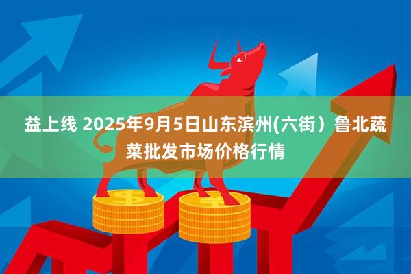 益上线 2025年9月5日山东滨州(六街）鲁北蔬菜批发市场价格行情