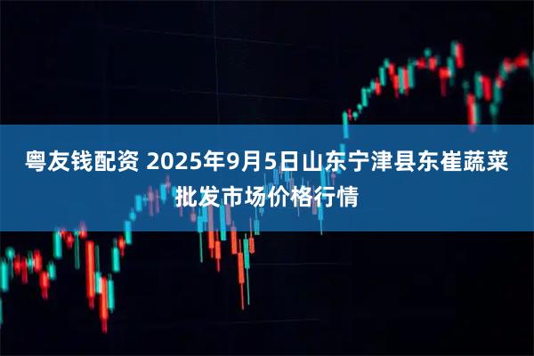 粤友钱配资 2025年9月5日山东宁津县东崔蔬菜批发市场价格行情