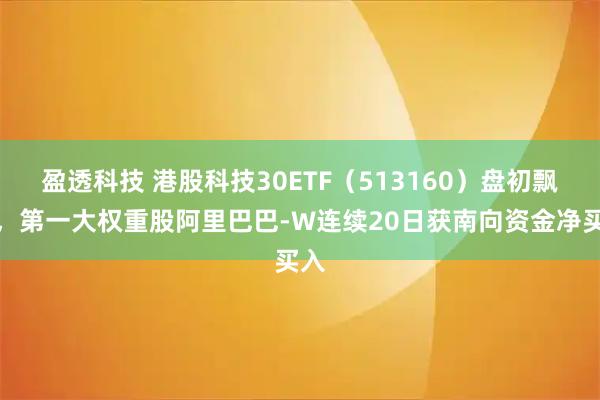 盈透科技 港股科技30ETF（513160）盘初飘红，第一大权重股阿里巴巴-W连续20日获南向资金净买入