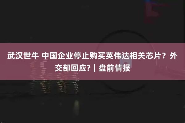 武汉世牛 中国企业停止购买英伟达相关芯片？外交部回应?｜盘前情报