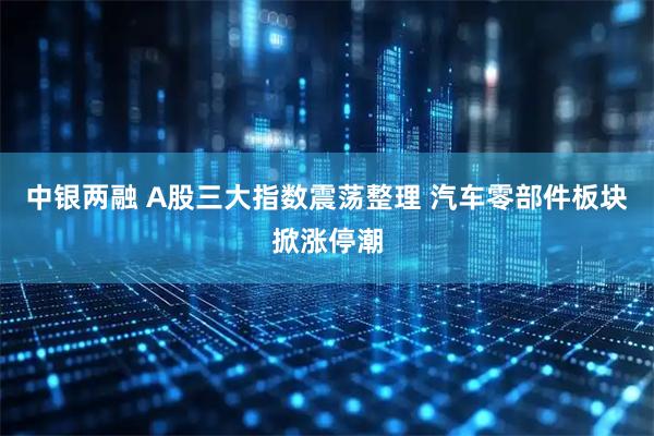 中银两融 A股三大指数震荡整理 汽车零部件板块掀涨停潮