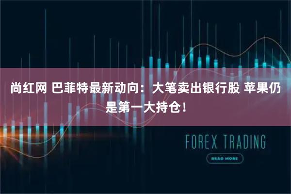 尚红网 巴菲特最新动向：大笔卖出银行股 苹果仍是第一大持仓！