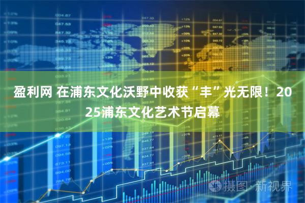 盈利网 在浦东文化沃野中收获“丰”光无限！2025浦东文化艺术节启幕