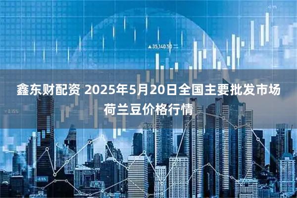 鑫东财配资 2025年5月20日全国主要批发市场荷兰豆价格行情