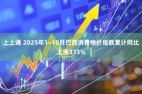 上上通 2025年1~10月巴西消费物价指数累计同比上涨373%