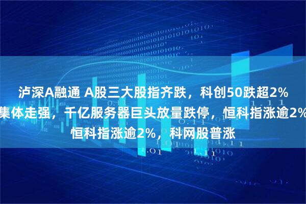 泸深A融通 A股三大股指齐跌,科创50跌超2%,猪肉、白酒集体走强,千亿服务器巨头放量跌停,恒科指涨逾2%,科网股普涨